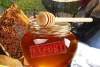 Поляки повернули майже 3,5 тонни українського меду, – підозрюють у фальсифікації