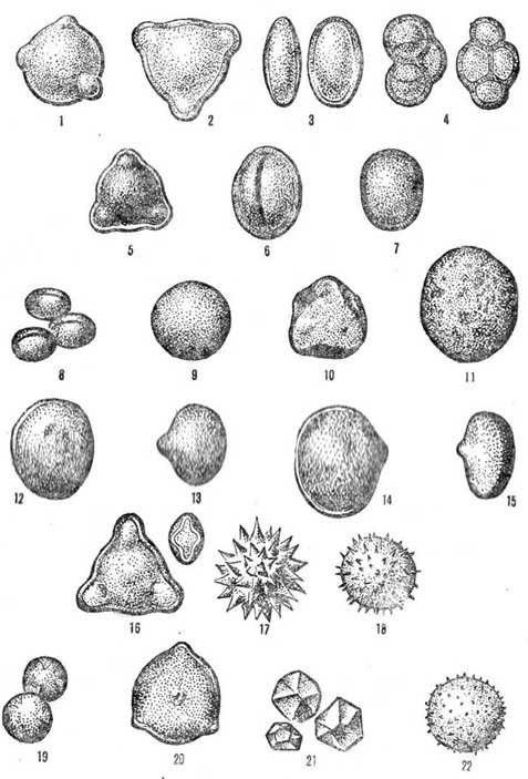 Various of pollen