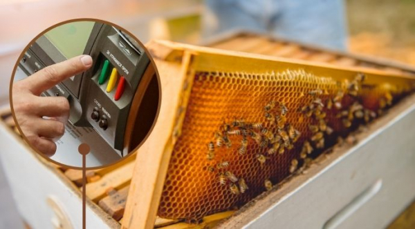 Проект Закону про розвиток галузі бджільництва, охорону, захист та збереження бджіл не пройшов