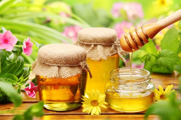 В Україні відкрили завод з переробки меду на експорт