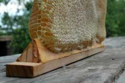 В Україні зростає попит на мед