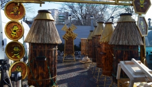Харківський бджоляр облаштував унікальну пасіку на даху будинку