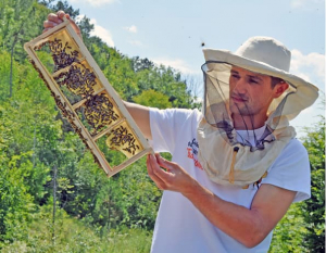 “Бджолиний рай”: підгайчанин заснував кооператив і об’єднав 28 пасічників