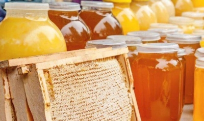 Коронавірус наганяє ціни на цибулю, часник та бджолопродукти
