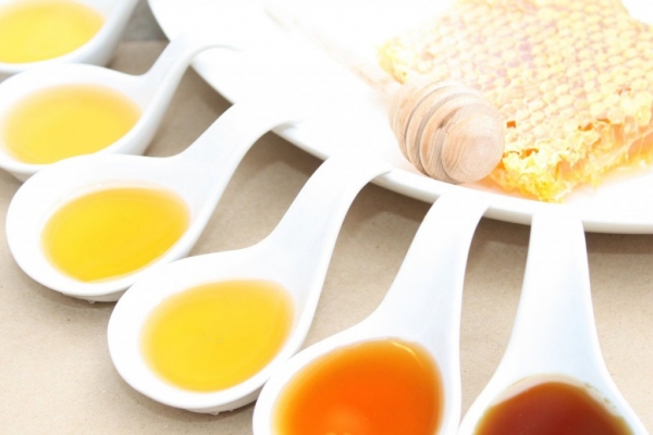 Хто купує мед оптом в Україні (динаміка цін на 22.09)