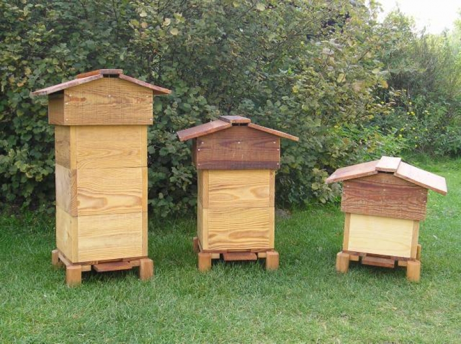 Вулик бджолиний — Все про бджільництво | Сильна пасіка