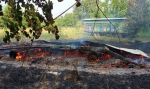 На Полтавщині згоріли десятки вуликів