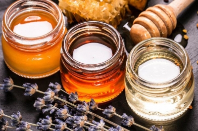 Вчені порівняли користь меду і ефект від антибіотиків