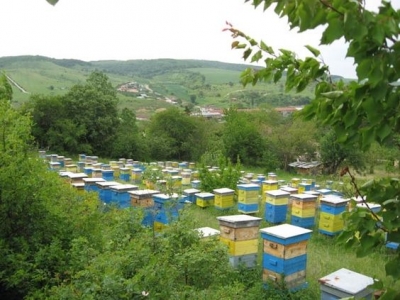 В Україні розробляють новий інтегрований стандарт на мед
