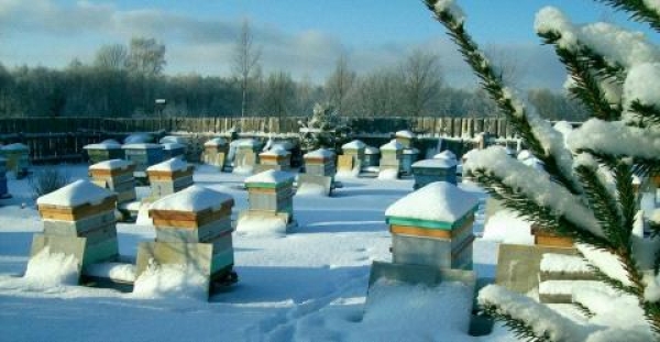 Лютий вирішить долю українського меду на зовнішніх ринках