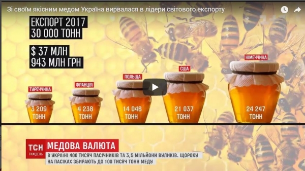 Як Україна стає найбільшим експортером меду