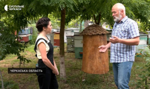 Як війна в Україні впливає на виробництво меду на Черкащині