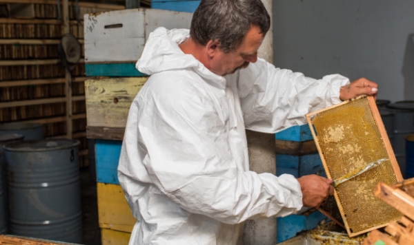 Група бджолярів з Одеської області експортують мед в Європу