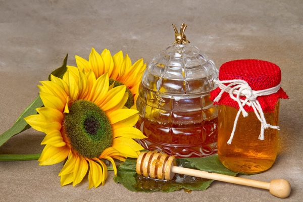 Україну можуть виключити зі світового ринку меду — думка