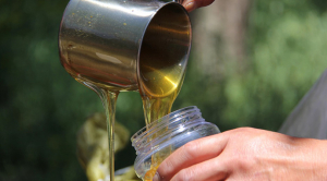 Чи зросте ціна на мед в Україні?