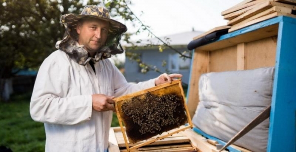 Пасічникам Львівщини скерували майже 10 млн грн дотації за бджолосім’ї