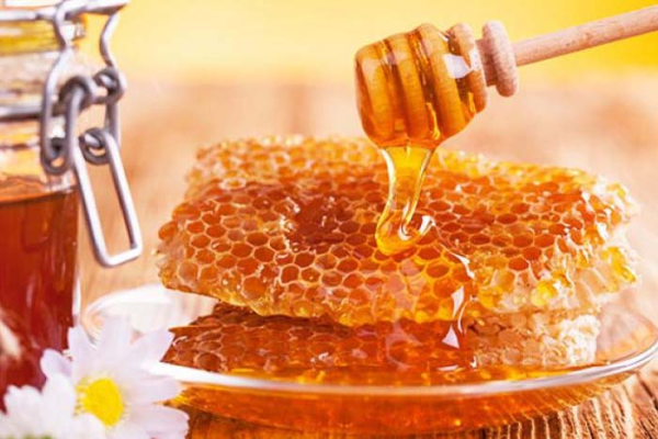 Україна заробила на експорті меду до ЄС 120 млн доларів