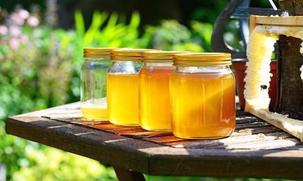 В Україні збільшились випадки фальсифікації меду