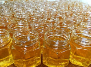 Хмельниччина за час війни експортувала майже 5 000 тонн меду