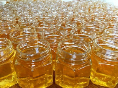 Хмельниччина за час війни експортувала майже 5 000 тонн меду