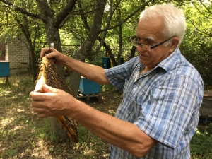 На Луганщині бджоляр створює «медовий конвеєр»