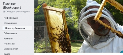 Пасічники назвали основні проблеми бджільництва в Україні