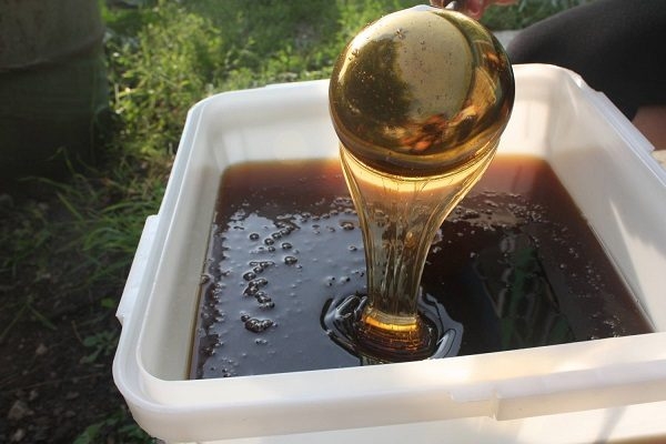 Право экспортировать мед получили 67 украинских компаний