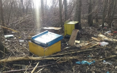 Допомога для бджолярів, що служать в ЗСУ, та тих, хто втратив пасіку через війну: куди звертатись?