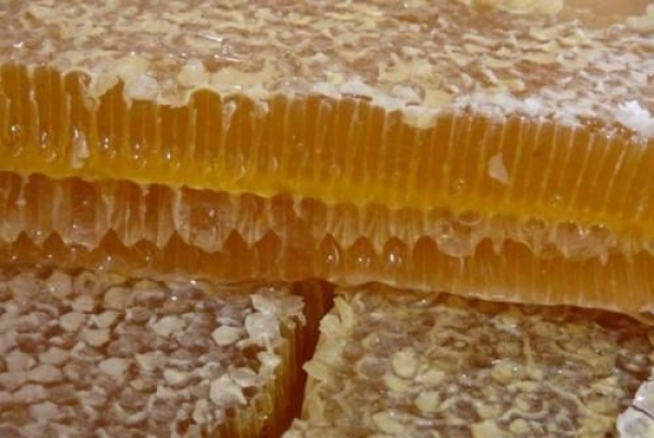 Україна 2019 році експортувала меду на суму понад $101 млн