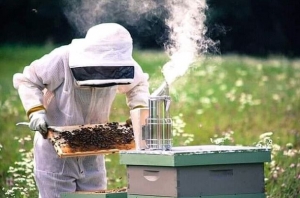 Належна бджільницька практика / Good Beekeeping Practice