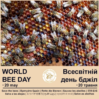 20 травня – Всесвітній день бджіл