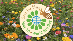 Save the Bees - світлина із відкритих джерел