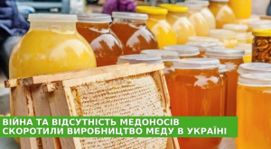 Війна та відсутність медоносів скоротили виробництво меду в Україні